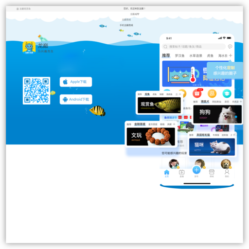 龙巅商城 网站图标