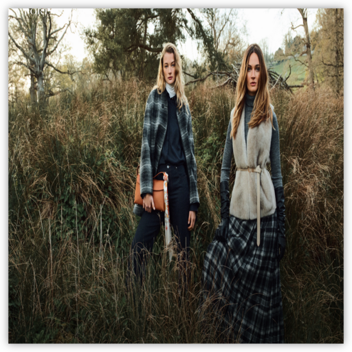 PORTS宝姿 网站图标