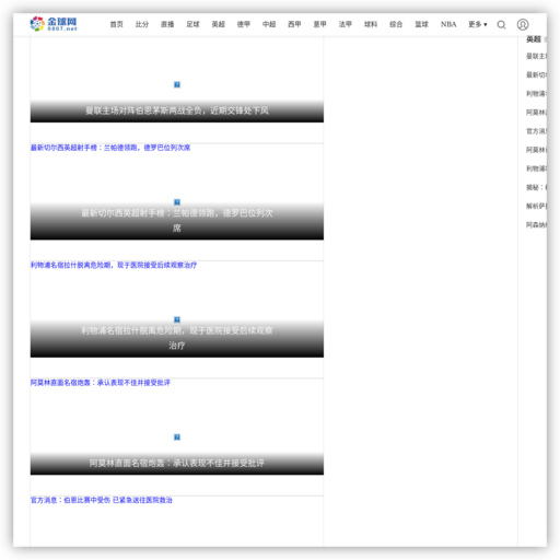 球星比分 网站图标