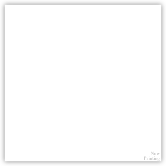 白皮松信息网 网站图标