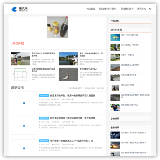 黑坑网 网站图标