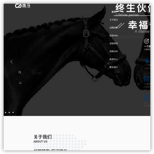 深圳市逸马科技有限公司 网站图标