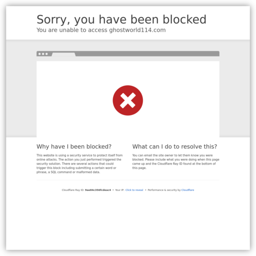 雨燕直播 网站图标