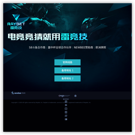 **西游网 网站图标